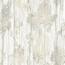 Aspen Grove Grey Wallpaper