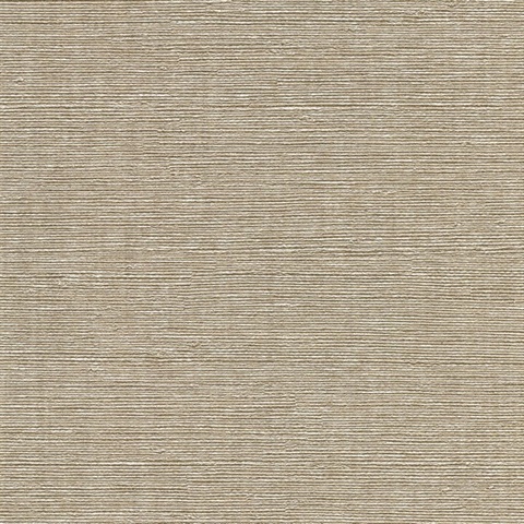 Aspero Platinum Faux Grasscloth