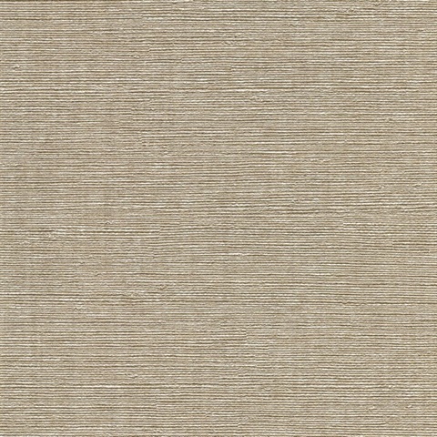 Aspero Platinum Faux Grasscloth