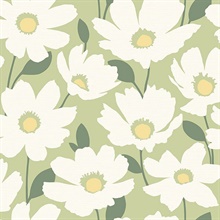 Astera Green Floral Wallpaper