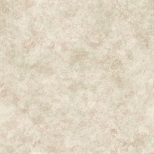 Astor Rust Texture