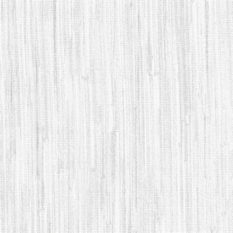 Astoria Accent Silver Charmeuse