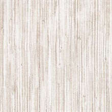 Astoria Accent Warm Chiffon