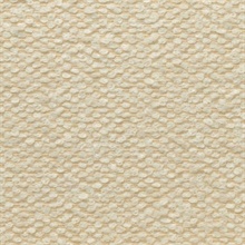 Atacama White Sand