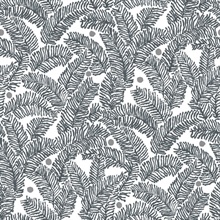 Athina Slate Grey Fern Leaf Wallpaper