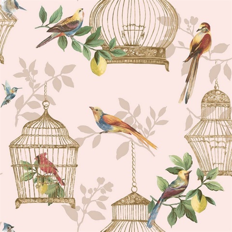 Audubon Cute Birds &amp; Cages Pink Wallpaper