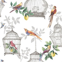 Audubon Cute Birds & Cages White Wallpaper