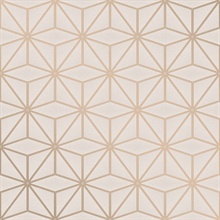 Augustin Rose Gold Geometric