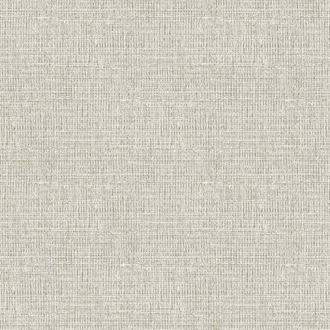 Aureline Dove Wallpaper