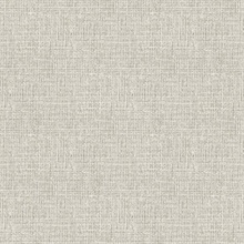 Aureline Dove Wallpaper