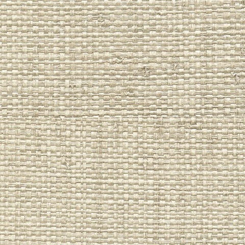 Authenticity Candide