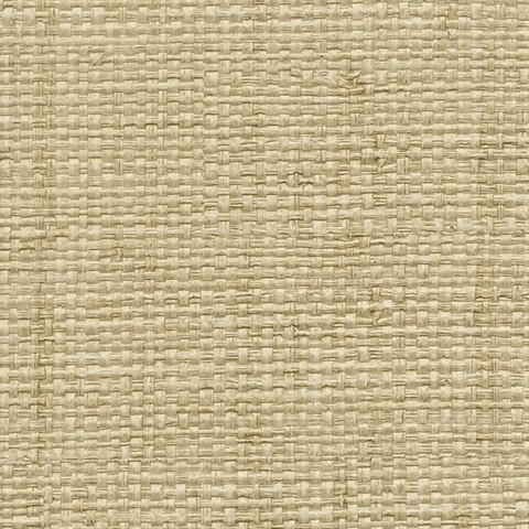 Authenticity Count Of Monte Cristo