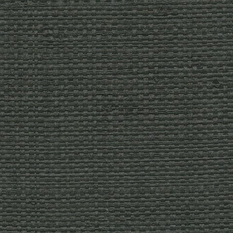 Authenticity Dracula