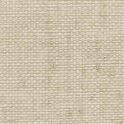 Authenticity Jane Eyre