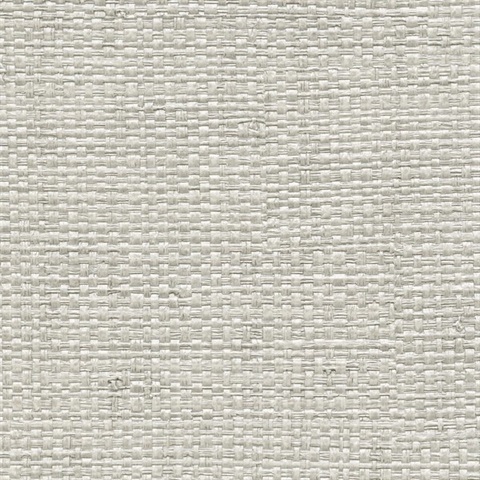 Authenticity School Collection Treasure Island