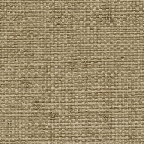 Authenticity Tom Sawyer