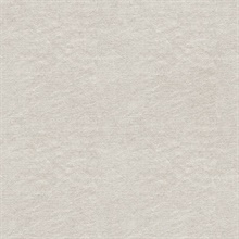 Azmaara Taupe Texture