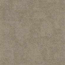 Baird Brown Patina Texture Wallpaper