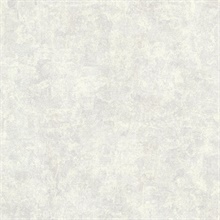 Baird Pewter Patina Texture Wallpaper