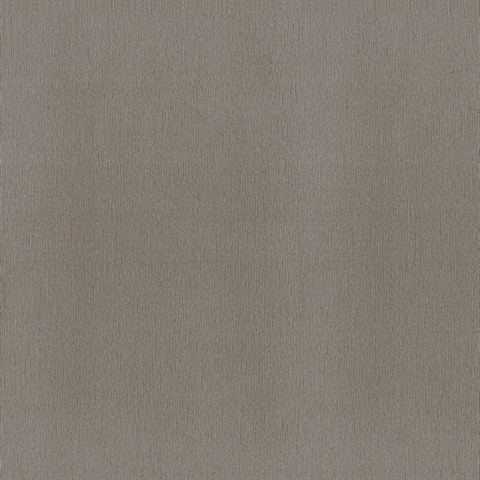 Baise Taupe Textured