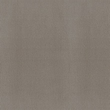Baise Taupe Textured