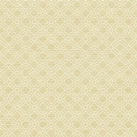 Bamboo Lattice