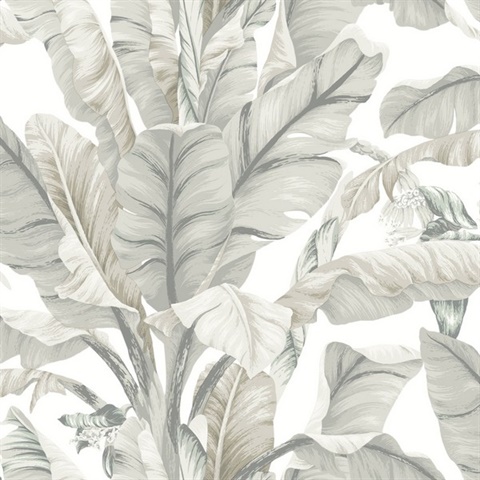 Beige Tropical Banana Leaf Palm Wallpaper
