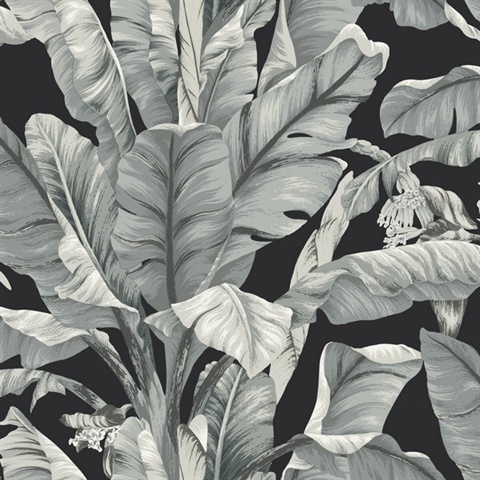 Sage Tropical Banana Leaf Palm Wallpaper