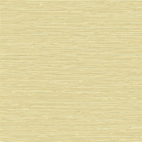 Banni Sunkissed Faux Grasscloth Wallpaper