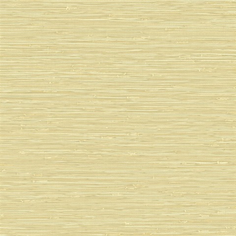 Banni Sunkissed Faux Grasscloth Wallpaper