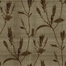 Banyu Hazel Wallpaper