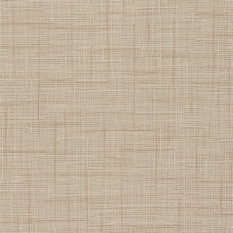 Barbados Warm Taupe