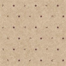 Barn Star Sidewall