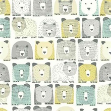 Bears Sidewall