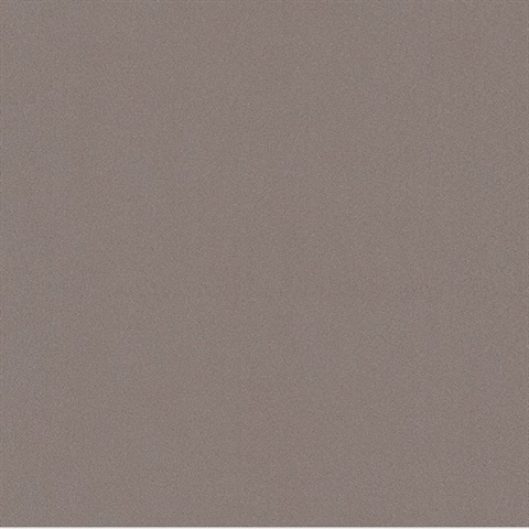 Bechet Light Brown Speckled Texture