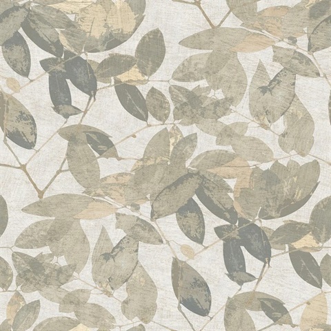 Beech Leaves Cream Wallpaper