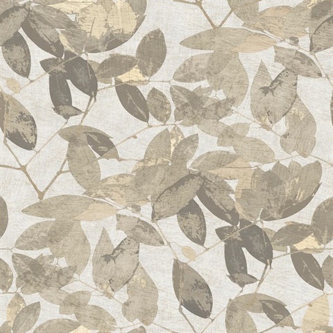 Beech Leaves Warm Taupe Wallpaper