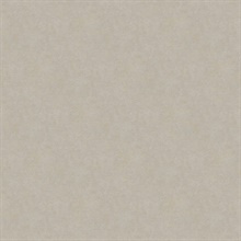 Beige Allen Texture