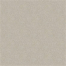 Beige Allen Texture