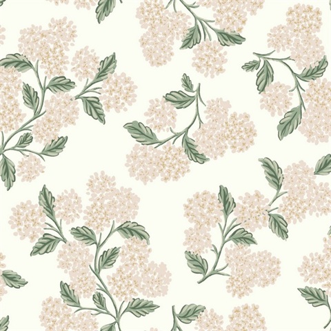 Beige & Blush Pink Hydrangea Classic Flowers Wallpaper