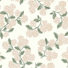 Beige &amp; Blush Pink Hydrangea Classic Flowers Wallpaper