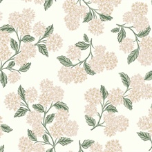 Beige & Blush Pink Hydrangea Classic Flowers Wallpaper