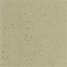 Beige Burnished Patina Metallic Wallpaper