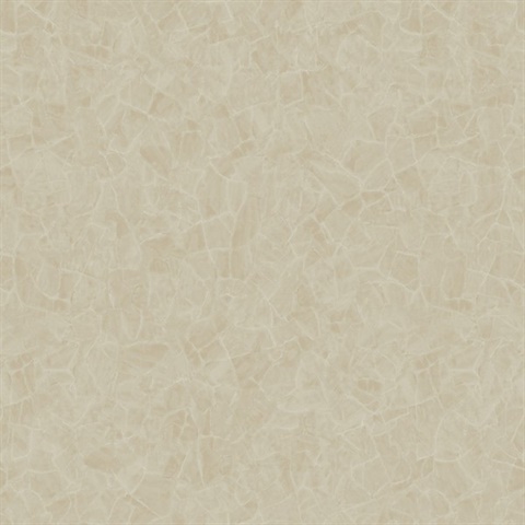 Beige Celine Texture Wallpaper