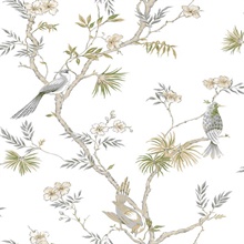 Beige Classic Bird &amp; Branches Trail Wallpaper