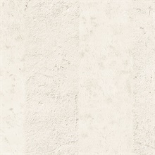 Beige Concrete & Plaster