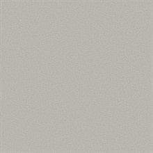 Beige Dandy Tight Crosshatch Weave Wallpaper