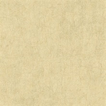 Beige Haven Texture