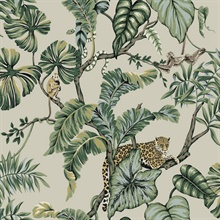 Beige Jungle Cat Jaguars & Monkeys Animal Wallpaper