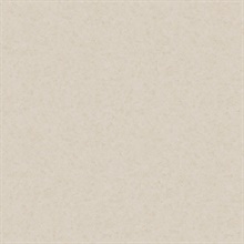 Beige Mini Faux Plaster Texture Wallpaper